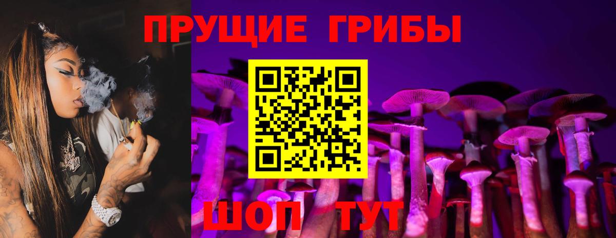 Клинцы  Псилоцибиновые грибы ЛСД  Вход с VPN 